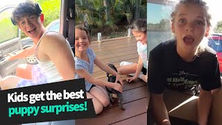 Parents Surprise Their Kids with Puppies