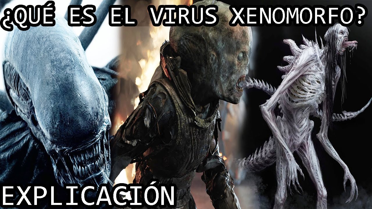 ¿Qué es el Virus Xenomorfo? El Virus Negro o Black Goo de Prometeo y Alien Romulus Explicado