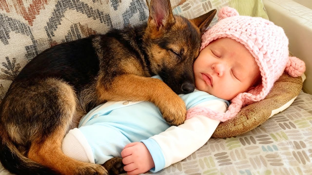 Rodiče Nechali Štěně Spát S Miminkem, O 2 Týdny Později Se Podívali Blíž A Zavolali 158!