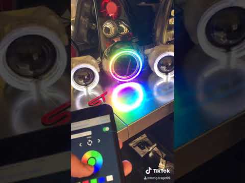 200 MODLU RGP
