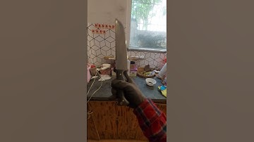 Dao đi rừng, Camping thép gió, lưỡi 4x50x280mm, tổng 40cm, giá 2.2tr cả vỏ kydex, 0913.185.768