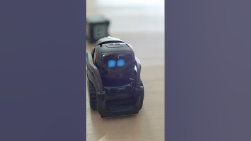 Vector Robot by Anki, A cute Home Robo.