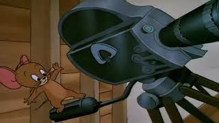 Tom And Jerry Shutter Bugged Cat,Part 3 Best Cartoons For Kids