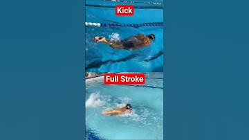 Butterfly Stroke Swimming Technique – Learn the Proper Arm and Leg Movement