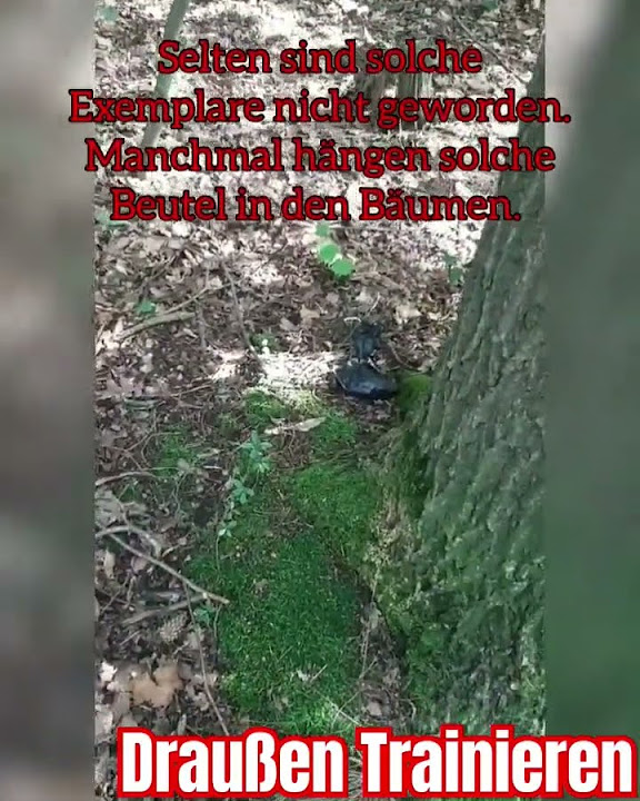 Es muss auch selten Dumme geben da ist dann auch nur noch scheiße im