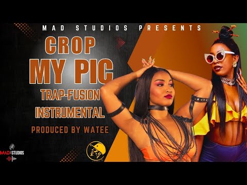 (FREE) SSARU X SHENSEEA DANCEHALL FUSION TYPE BEAT/''Crop My Pic'' Instrumental (Produced By Watee)