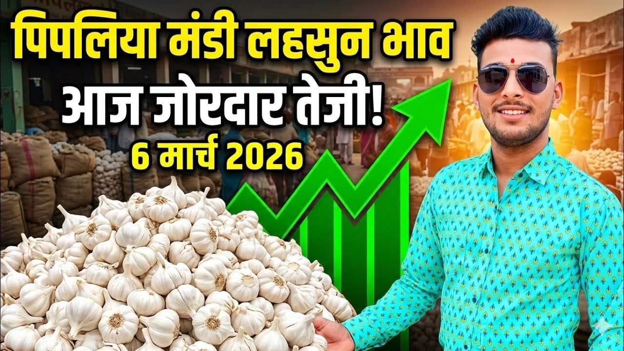 नई देशी ऊटी लहसुन भाव पिपलिया मंडी New Garlic Price Today Pipliya Mandi March 6, 2026
