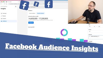 Facebook Audience Insights: where to find it and is it still relevant?