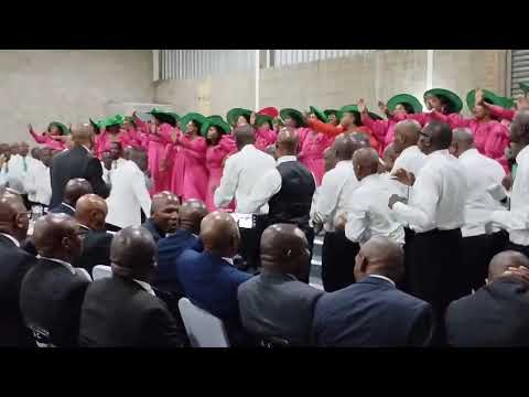 Wallacedene Combine Elder Zameko