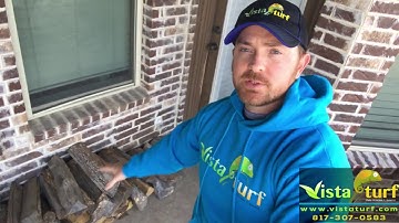 Firewood: An open invitation for pests...