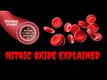 Nitric Oxide Explained