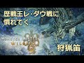 【4K】【モンハンワイルズ】歴戦王レ・ダウ戦に慣れてく【狩猟笛】