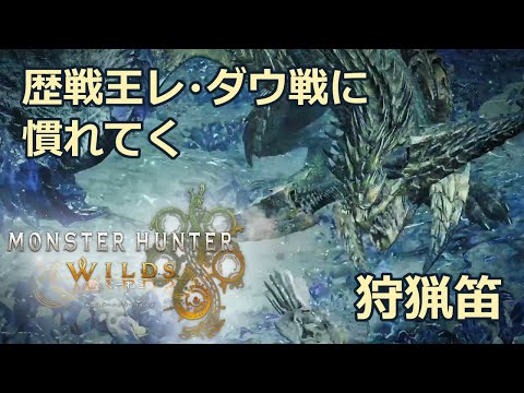 【4K】【モンハンワイルズ】歴戦王レ・ダウ戦に慣れてく【狩猟笛】