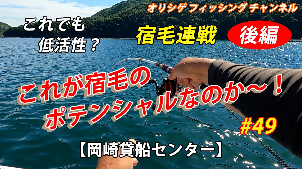 チヌかかり釣り】2026.5.31 岡崎貸船センター これでも低活性？年無し