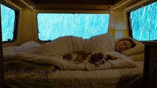Rain Sounds for Sleeping ⚡ Sheltered in a Warm Car with Heavy Forest Rain & Thunder Beyond the Trees