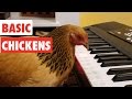 Basic Chickens | Funny Chicken Video Compilation 2017