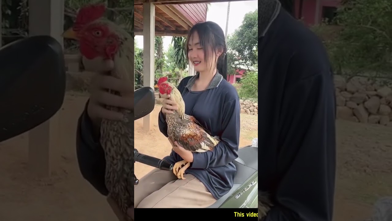 Murgha love Rooster lover girls in china 