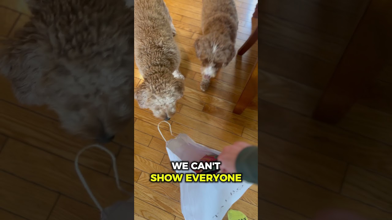 Zoey can barely wait, and neither can we 🐶