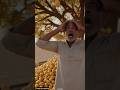 One Mango Changed Destiny 😱🌳 | Magical Mango Tree Emotional Short #ai #tree #save #mango