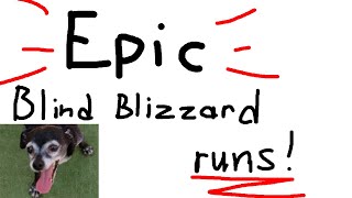 Blind Blizzard Twitch Highlights