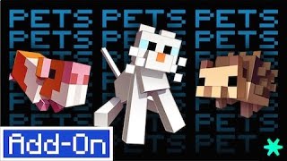 Spark Pets | Free Minecraft Marketplace Addon | Showcase