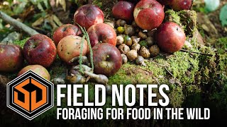 Foraging For Food In The Wild  SD Field Notes