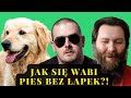 Jak się wabi piesek bez łapek?! - czyli czy powerviolence może powodować przemoc?!