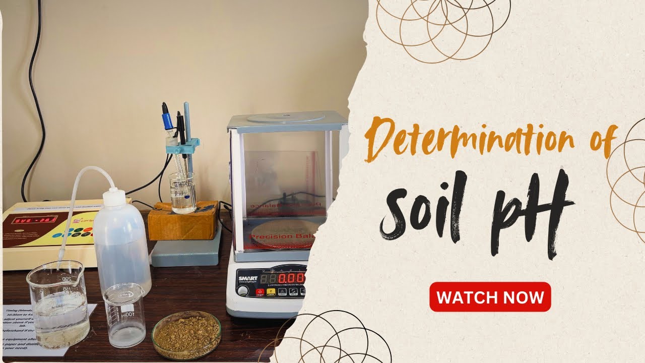 Determination of soil pH using pH meter | Step by step tutorial | - YouTube