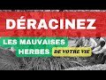 Dracinez toute mauvaise herbe non plante par dieu dans votre vie