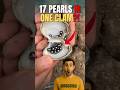 17 PEARLS IN 1 CLAM! Tahitian pearl discovery you won&rsquo;t believe!