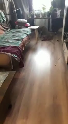 youtube.com