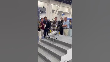 Demonstração do Cachorro Robô Unitree subindo escada na CES 2025