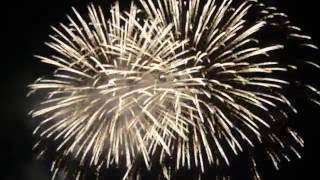 Area I Independence Day Celebration 2016