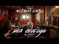 Animal ДжаZ — Моя свобода (Акустика, Live, 2021)