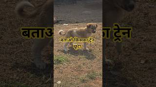 Apna Train Choota Ya Baju Vala