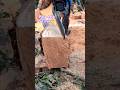 Para eso usan la madera de Ceiba..!!#chainsaw #asmr #woodwork