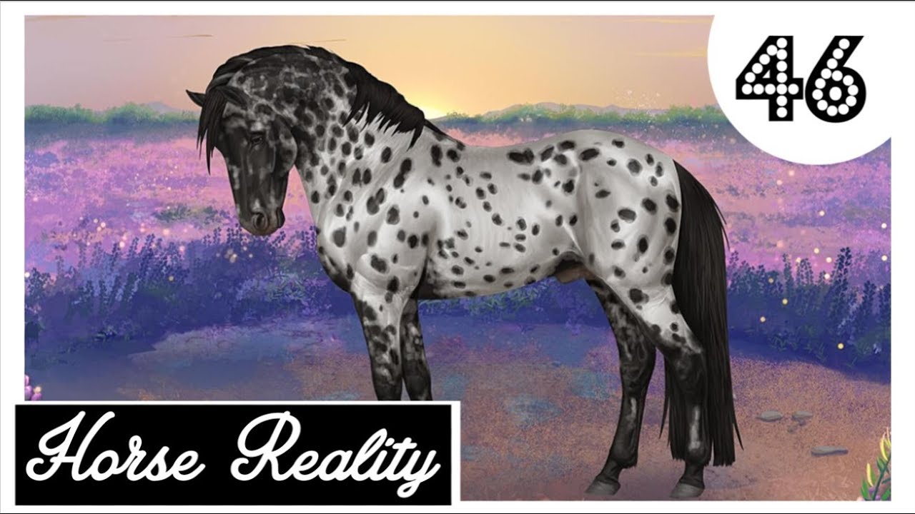 Horse Reality [HR] Knabstrupper, Noriker & ein neuer Roundpen 🌟 Let's