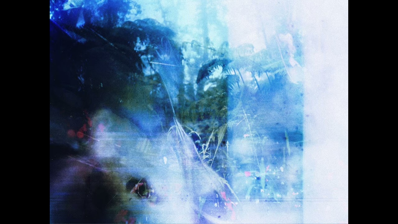 Mira Rainforest en YouTube Mira Rainforest en YouTube
