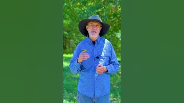 How the wind can be used to your advantage - Hunting Tips