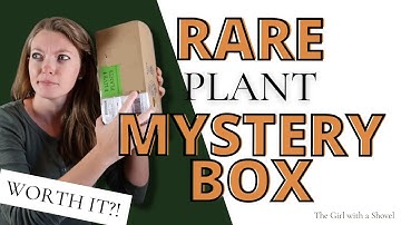 Rare Plant Cutting Mystery Box Unboxing... What did I get?! Expand your Collection for Cheap!