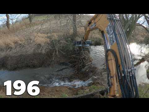 Two Beaver Dams