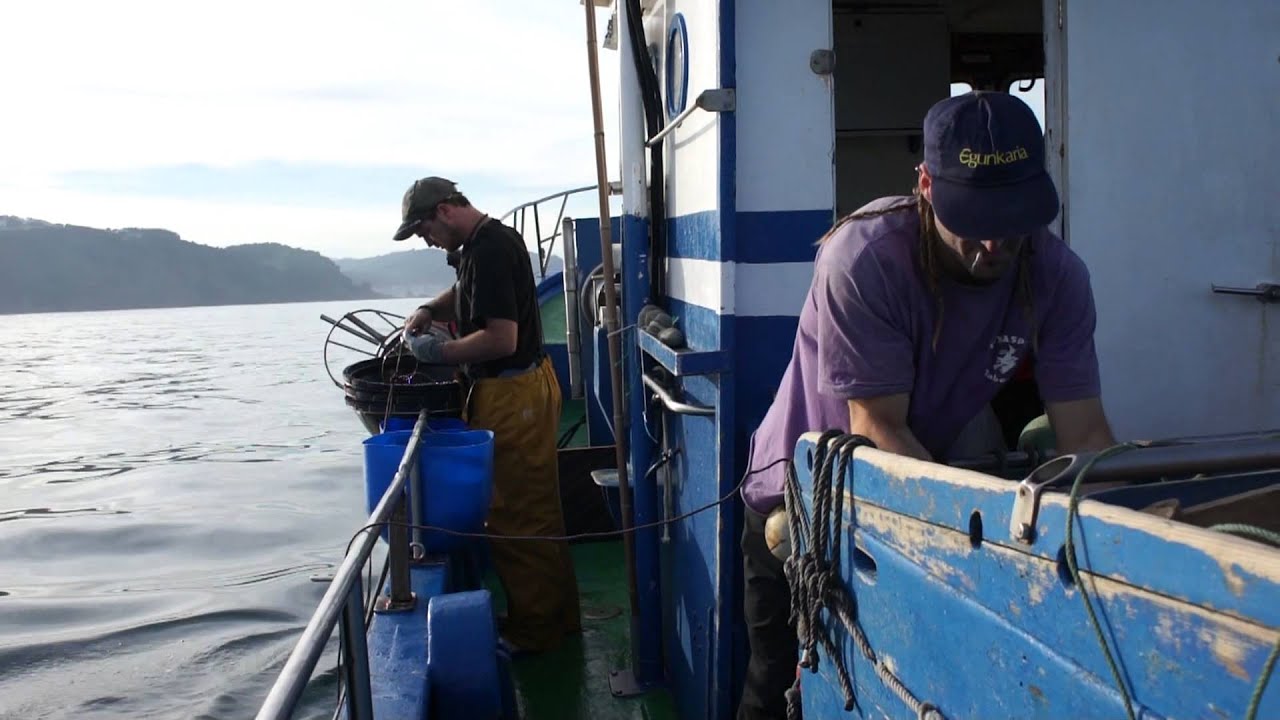 Pesca con palangre largado de la