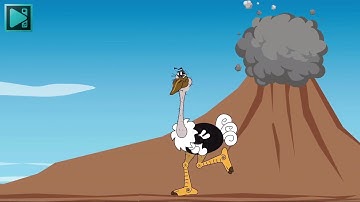 How to create animation using images in VSDC Free Video Editor