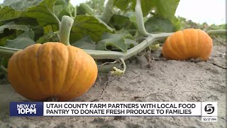 Utah County farm provides fresh produce to local food pantry