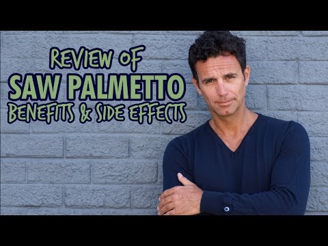 Review of Saw Palmetto Plant Benefits & Side Effects