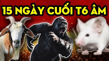 15 Ngày Cuối Tháng 6 Âm, 3 Con Giáp Nghèo Khổ Bỗng Giàu Nứt Đố Đổ Vách Sau 1 Đêm