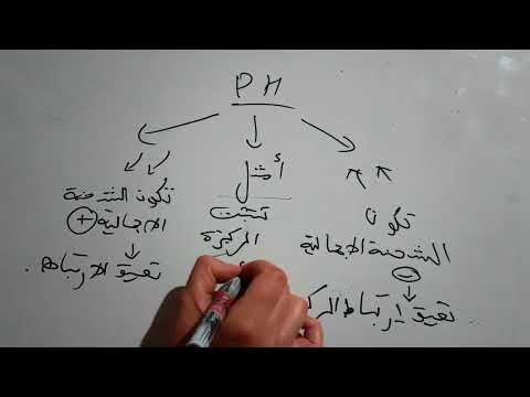 كيفية كتابة نص علمي حول العوامل المؤثرة على الانزيمات