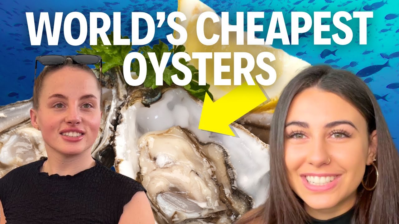 CHEAPEST OYSTERS IN THE WORLD... Cape Town Vlog PT. 4 YouTube