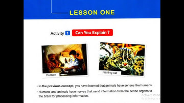 Grade4 LESSON 1 Concept1.3 Part 1 شرح الدرس الاول ساينس سنة رابعة كونسيبت الثالث الجزء  الاول