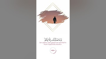 واصبر وما صبرك إلا بالله |سورة النحل فارس عباد 💌🖇